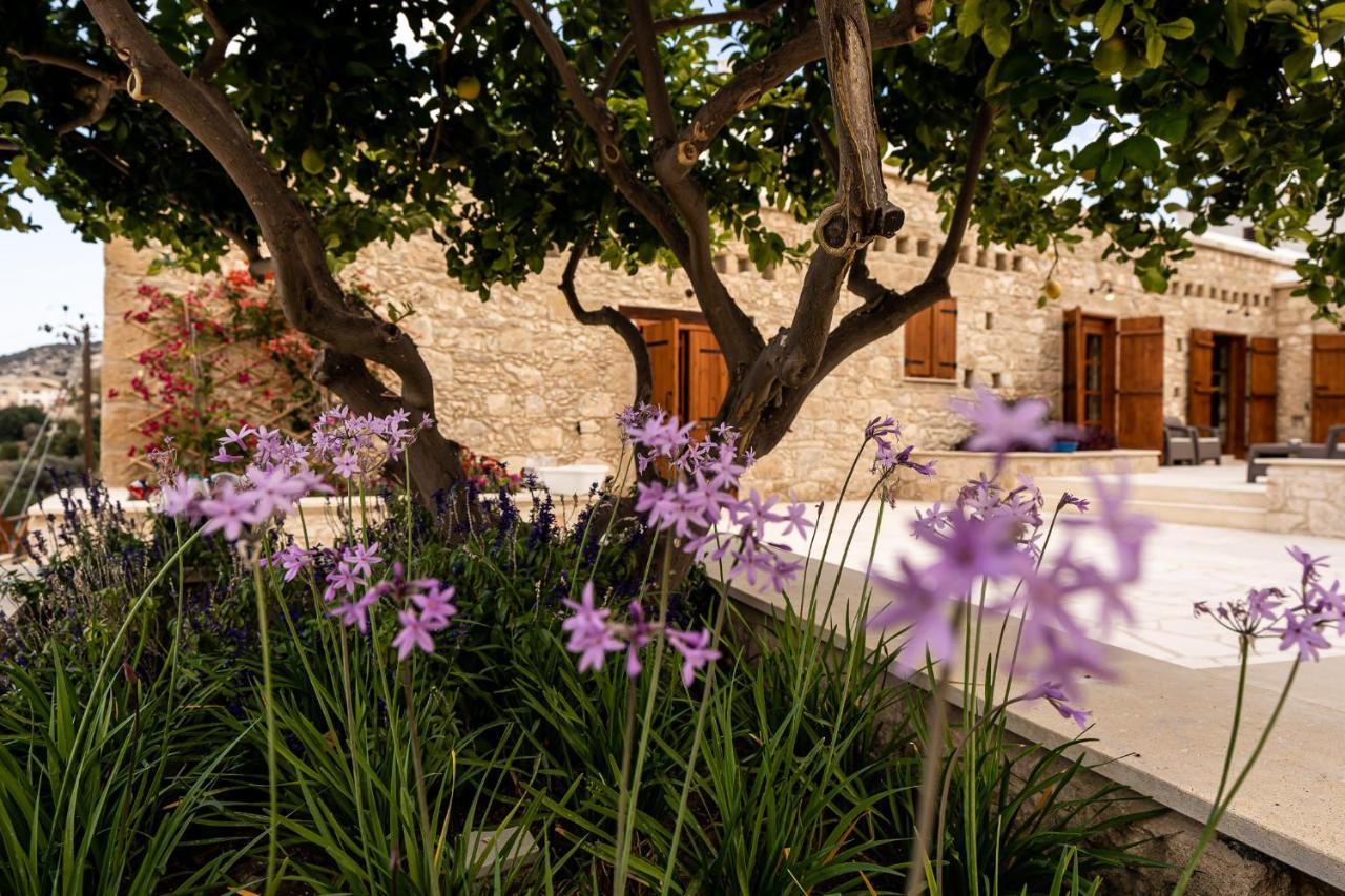 Harma Traditional Boutique Suites Paphos ภายนอก รูปภาพ